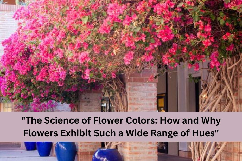 The Science of Flower Colors: How and Why Flowers Exhibit Such a Wide Range of Hues