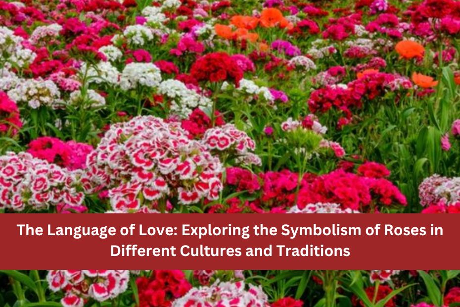 The Language of Love: Exploring the Symbolism of Roses in Different Cultures and Traditions