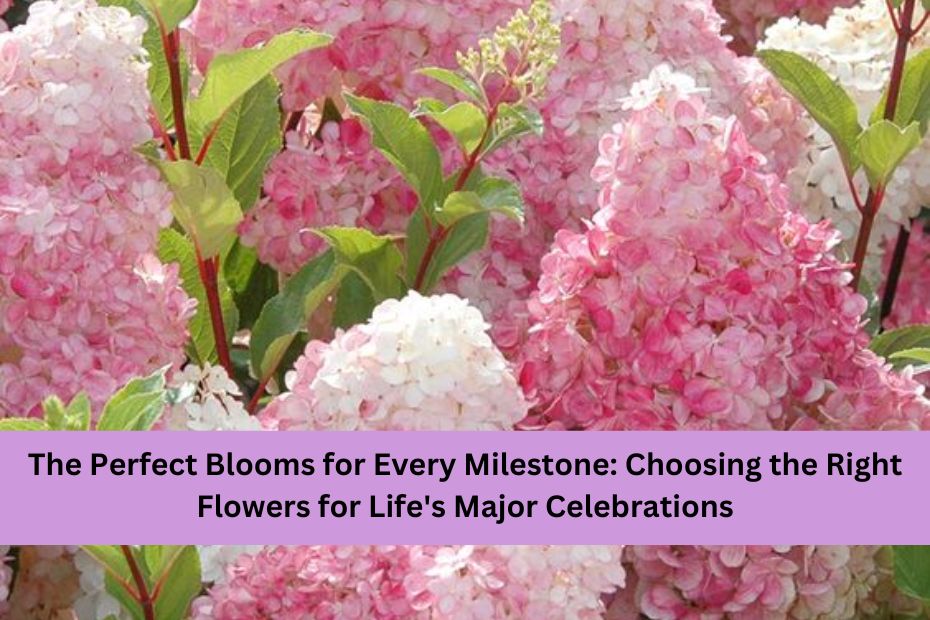 The Perfect Blooms for Every Milestone: Choosing the Right Flowers for Life's Major Celebrations